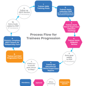 BUY MRCPCH CERTIFICATE WITHOUT EXAMS